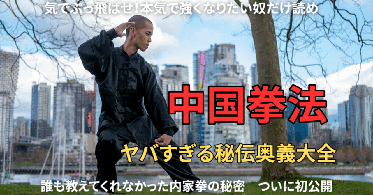 Amazon.co.jp: DVD 王向齋直系意拳六大秘訣 1(站椿編) : Toys
