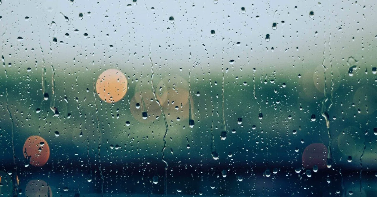 最新｜梅雨特有の体調不良、「なんとなく不調」の原因は隠れアレルギーかも?