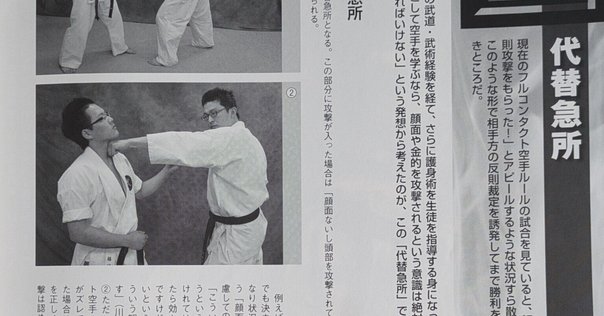 【超希少】堀辺 正史　換骨拳　骨法　セット　拳法　武術　合気道　秘術 Amazon.co.jp: 超堀辺 正史 換骨拳 骨法 セット 拳法 武術