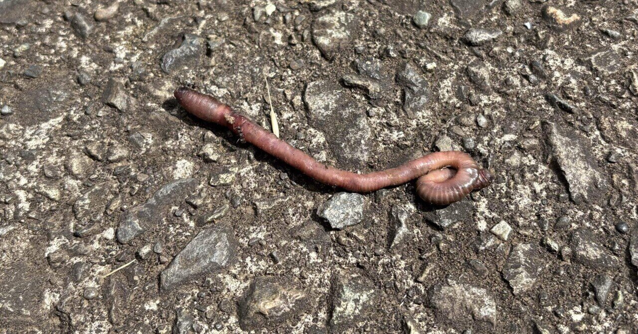 85 みみずの謎｜みるなす