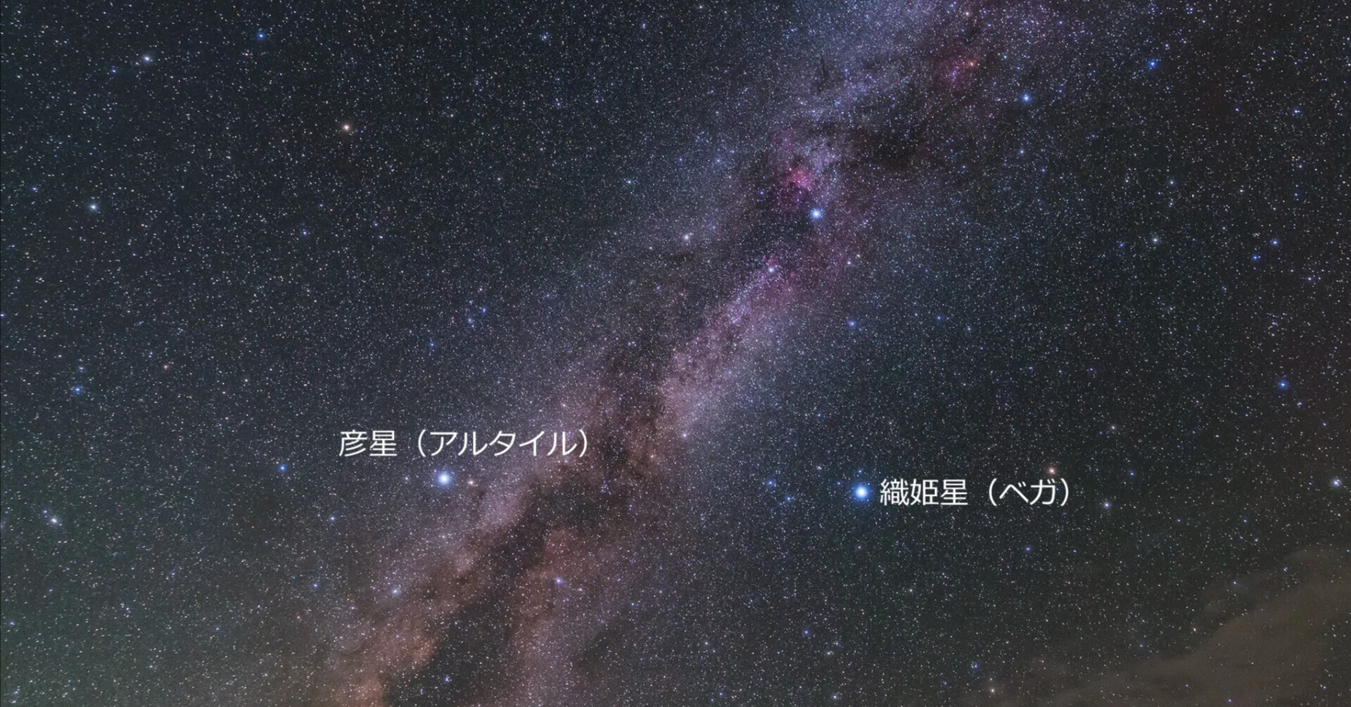 令和7年7月7日 七夕の星空｜星空写真家 × 会社役員 | 「好き」を「得意