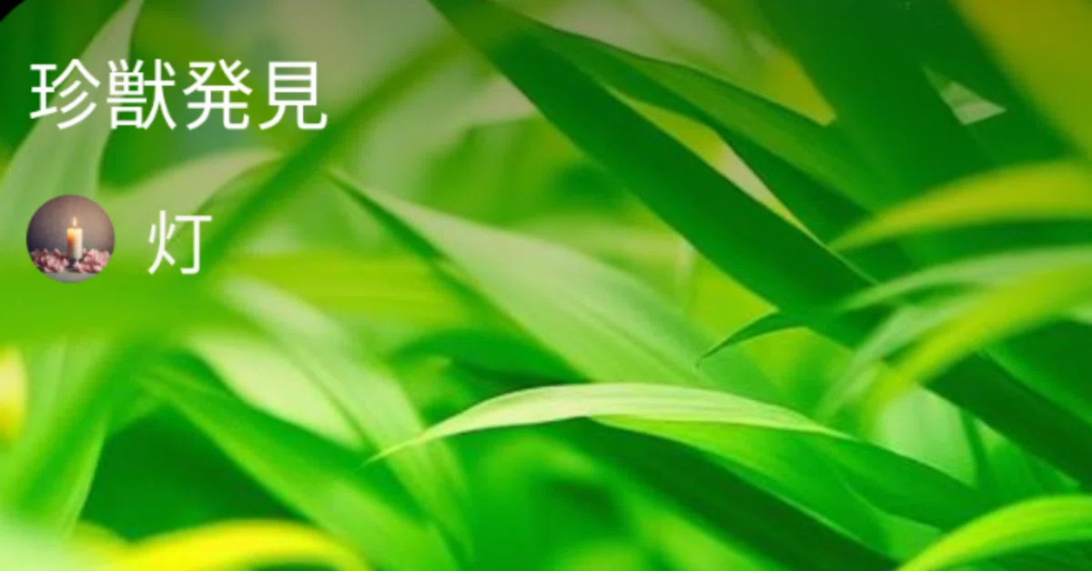 見出し画像
