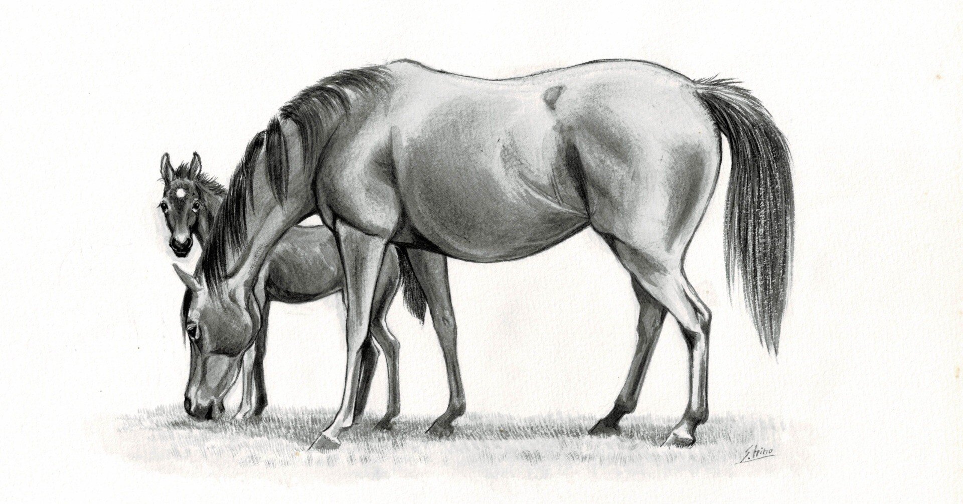 馬の瞳を見つめて(増補版)24｜渡辺はるみ