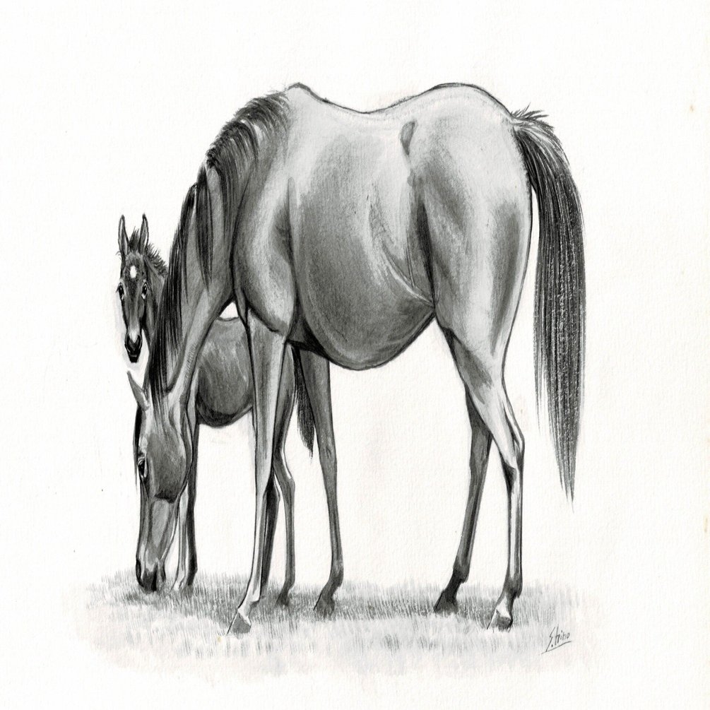 馬の瞳を見つめて(増補版)24｜渡辺はるみ