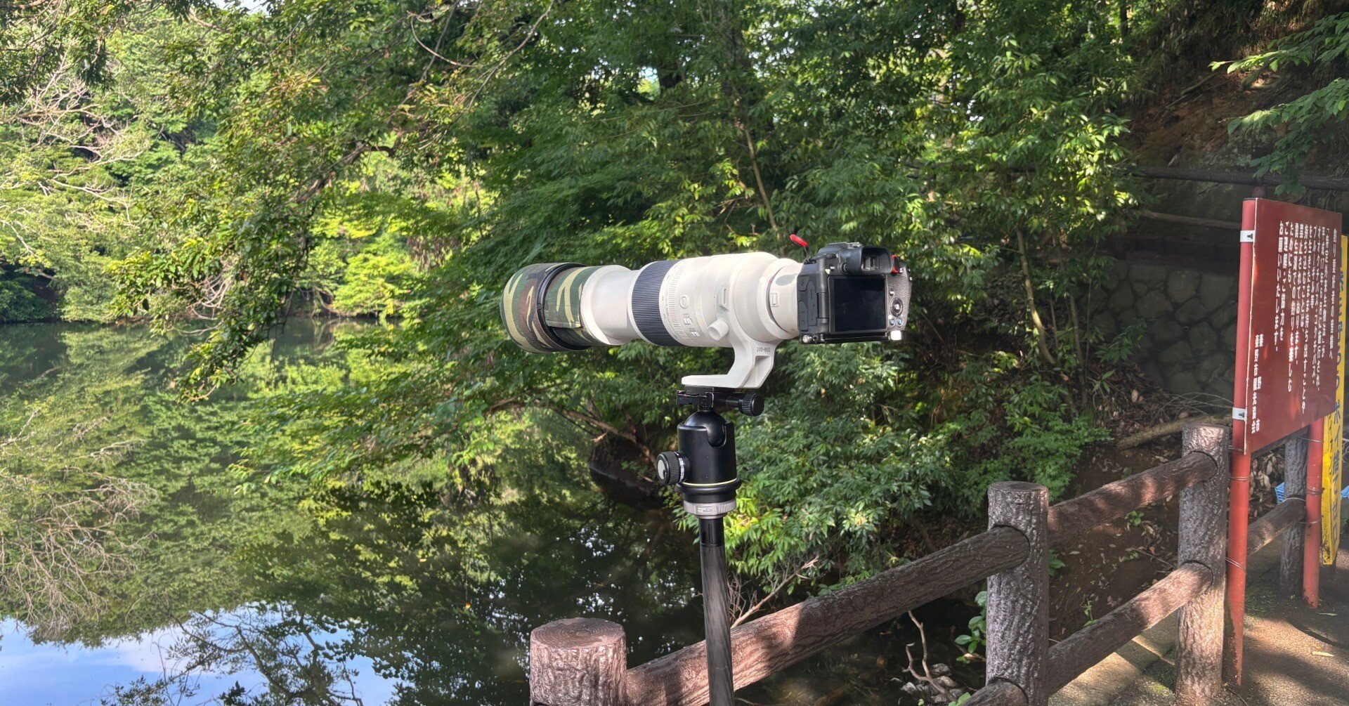 Canon カメラレンズ　まとめ売り 2026年最新】Yahoo!オークション -カメラレンズまとめ売りの中古品