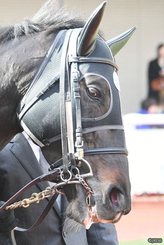 希少 エルメス 馬具 手綱 頭絡 ハミ セット 乗馬 HERMES
