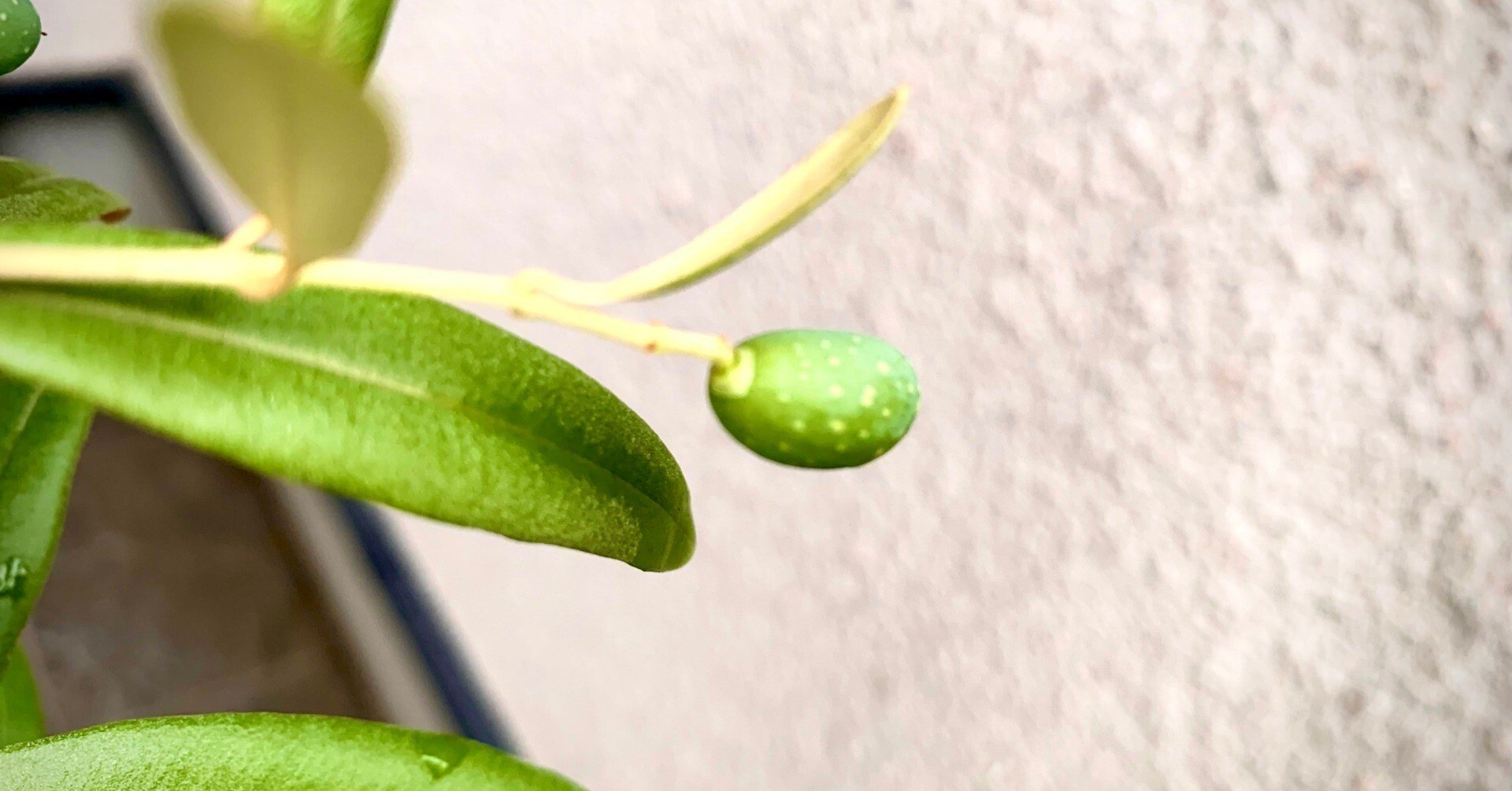 ede2192f7412ebb4eae9dae78fd320