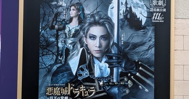 舞台感想 宝塚歌劇 雪組シアタードラマシティ公演 双曲線上の