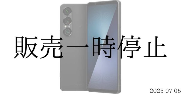 専用です⭐︎他の方の購入はお控え下さい Qoo10で配送待ちの商品をタップすると「こちらの商品は販売終了