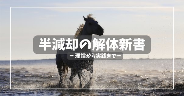 柔術教則レビュー「加古拓渡 Institute of Jiu-jitsu HALF GUARD
