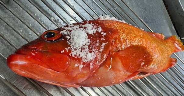 「大衆魚」の誕生 戦間期における水産物産業の形成と展開 大衆魚の誕生 大衆魚」の誕生: 戦間期における水産物産業の形成と展開 | 植田