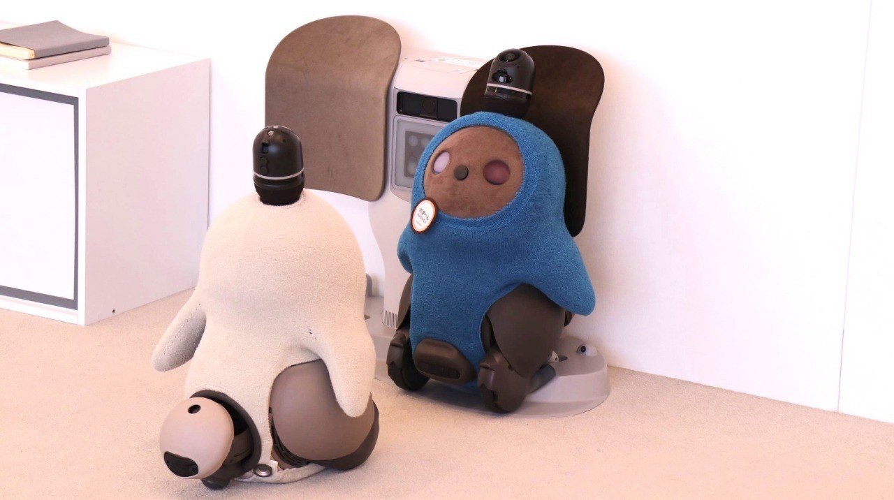 e3fbfe8c8dd327c347cc416bc2a0f4