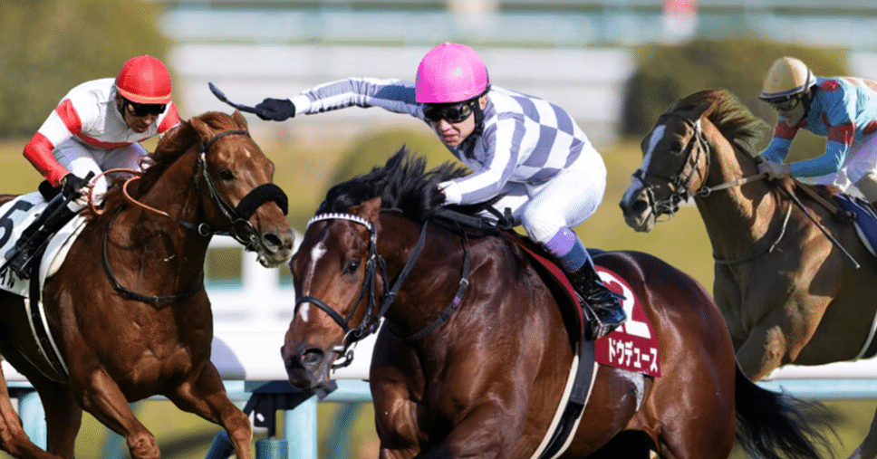 ドウデュース　2023 有馬記念　出走馬ミニゼッケン 競馬］ドウデュース（2023年有馬記念）ミニゼッケン／JRA中山競馬場