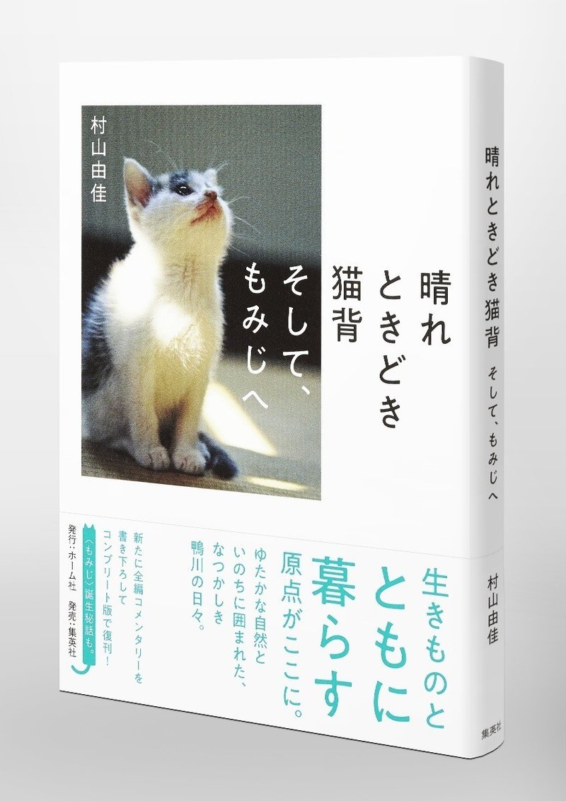 村山由佳 姜尚中 猫がいなけりゃ 村山由佳 晴れときどき猫背 そして もみじへ 刊行記念対談 Hb ホーム社文芸図書webサイト