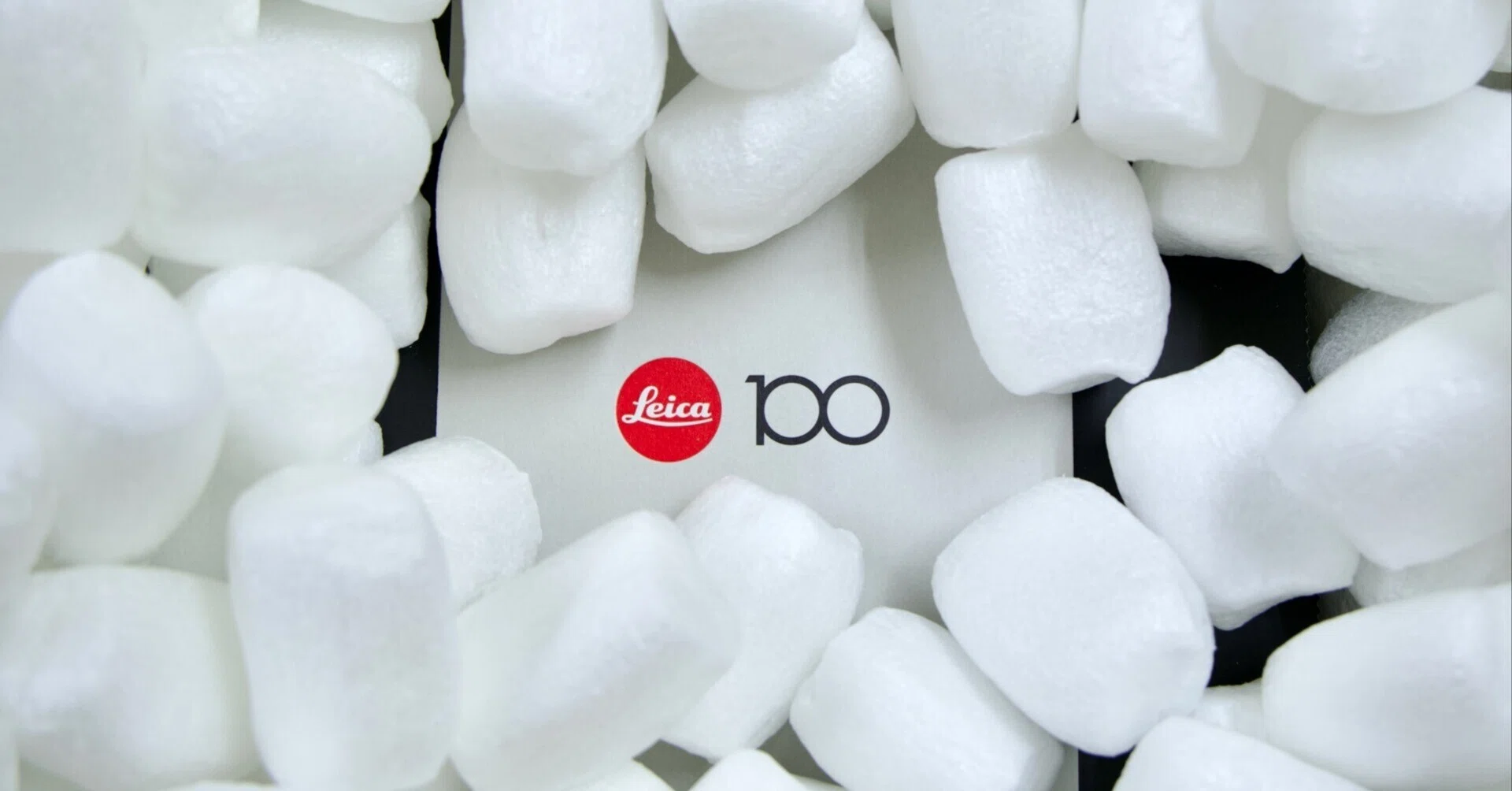 D-LUX8 “100 YEARS OF LEICA”レビュー｜Kenichi Masuo