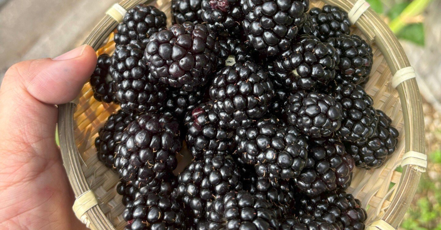 d8cb5c6c8f30e2649338cea724de15