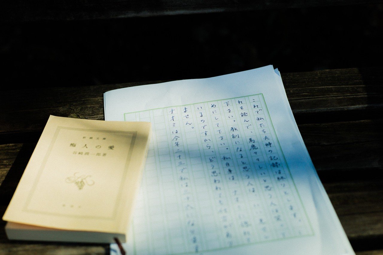 谷崎潤一郎 痴人の愛 を読みとく マゾヒズムとはまったく異なる視点を提示する 6 1 光文社新書