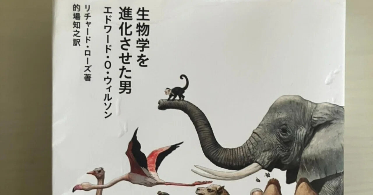分け入っても分け入ってもウィルソン｜Fukano Yuya