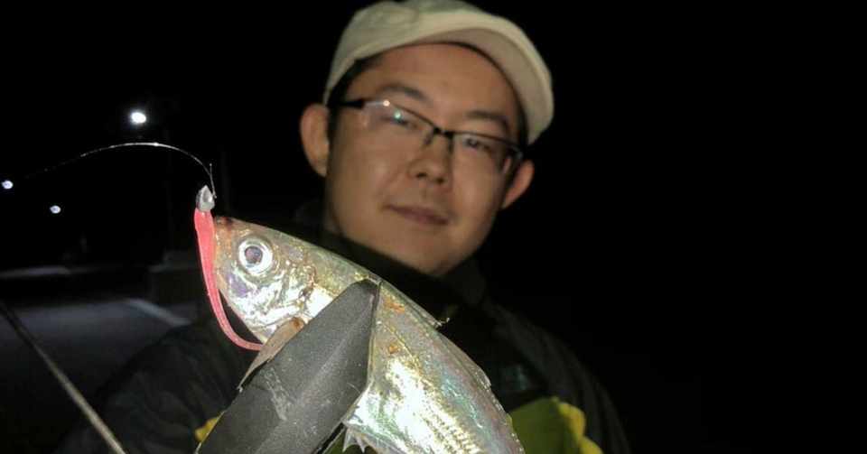 石巻地方にも大型アジ回遊 メバルや小サバ交じり 石巻days 未来都市の生き方 Note