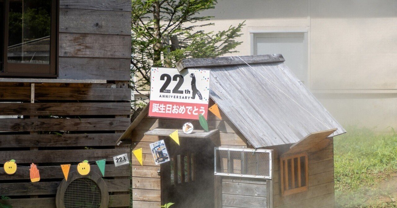 レッサーパンダ「風太」22歳に 国内最高齢 7月5日にセレモニー