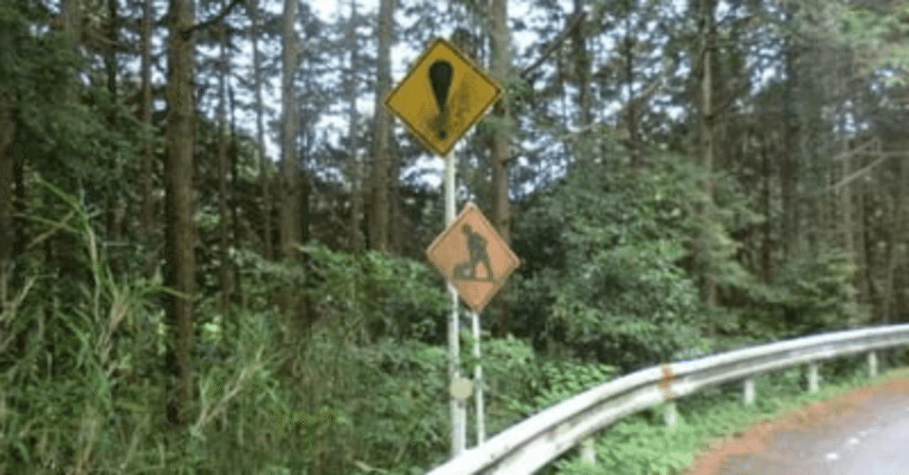 京都妖怪探訪（301）：東山ドライブウェイの謎標識｜小路