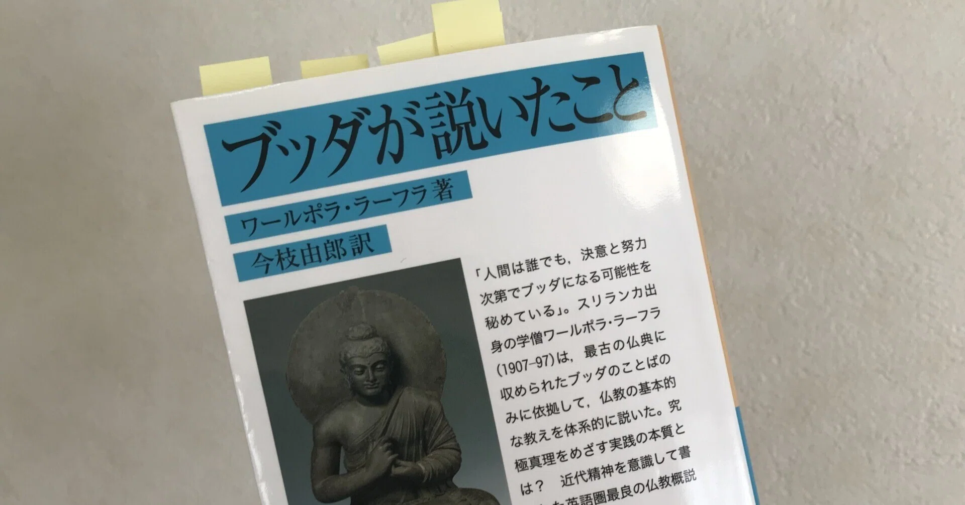 書籍『ブッダが説いたこと』のまとめ｜大木浩士／OOKIWORKS・代表