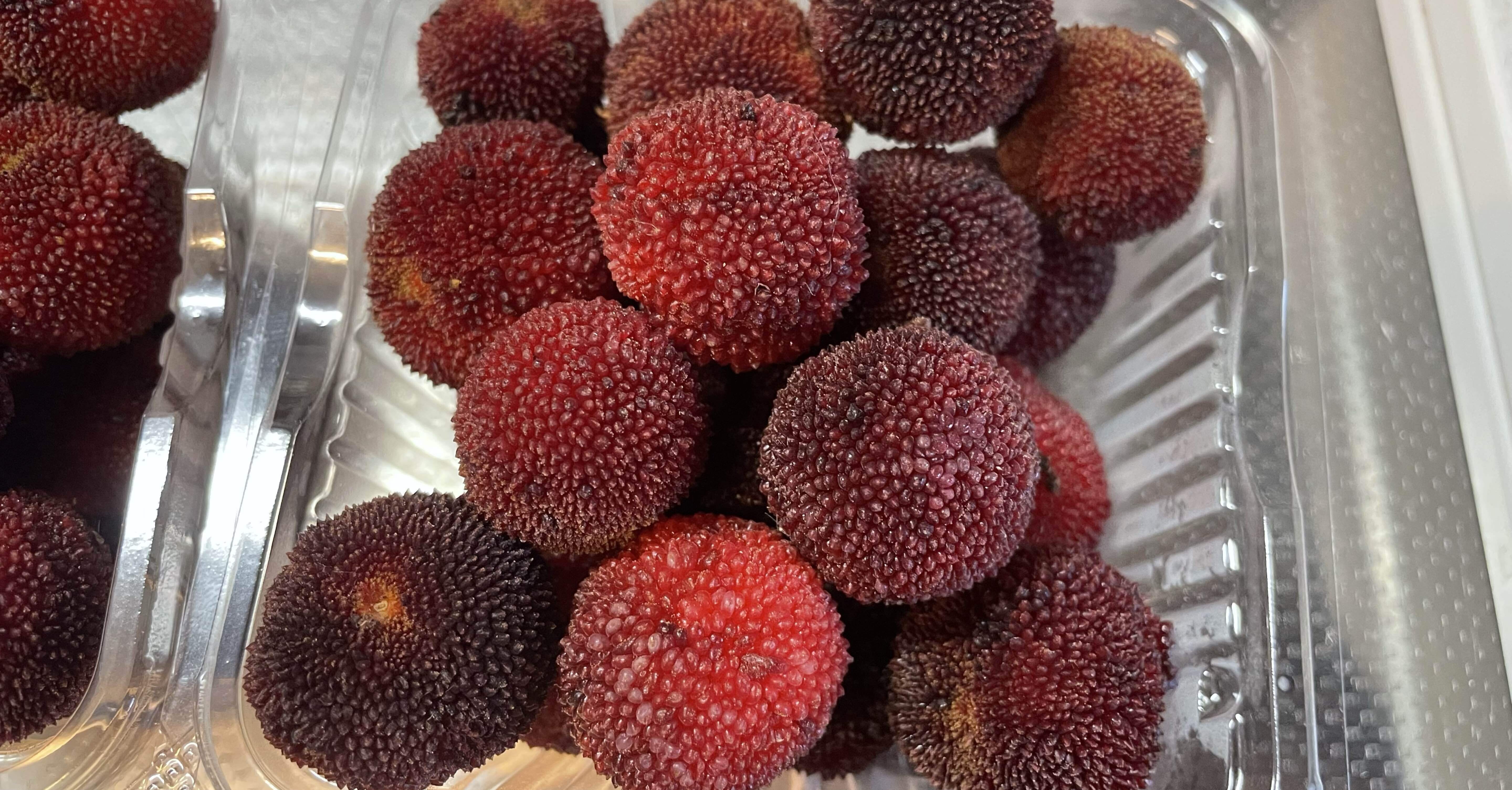 ヤマモモ　10キログラム　28日15時摘み ヤマモモの実で発酵ドリンクを作った 〈2025年7月6日 昼のめぐり