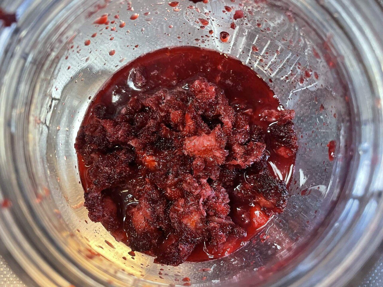 ヤマモモの実で発酵ドリンクを作った 〈2025年7月6日 昼のめぐり