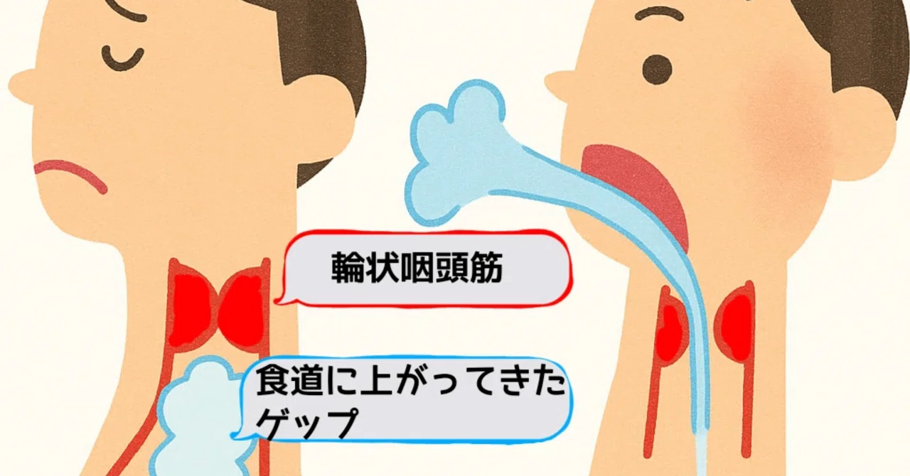 ゲップ の 出し 方 大人
