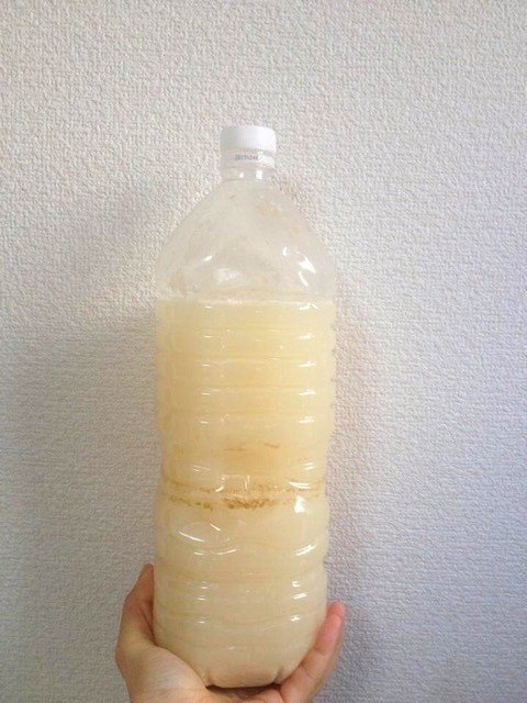 の とぎ汁 乳酸菌 米