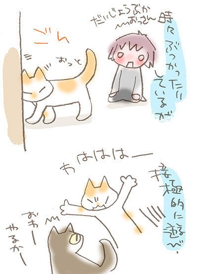 猫の おっさん のこと 3 29のブログより転載 めやお Note 猫の おっさん のこと 3 29のブログより転載 めやお Note