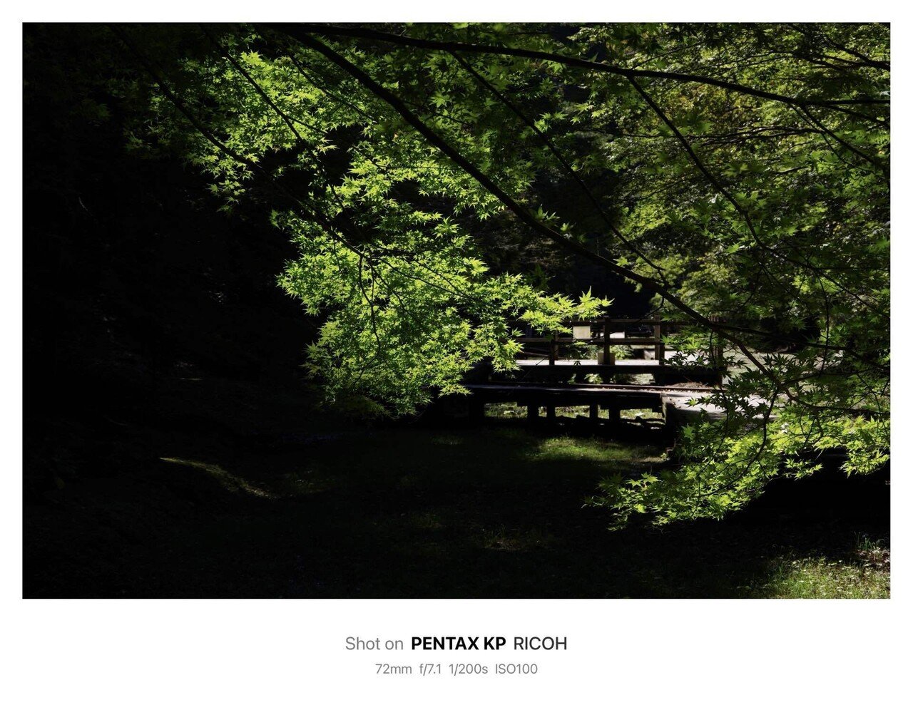 清水渓流広場 / Shimizu Mountain Stream Park(Chiba, Japan)｜N.Hagimoto