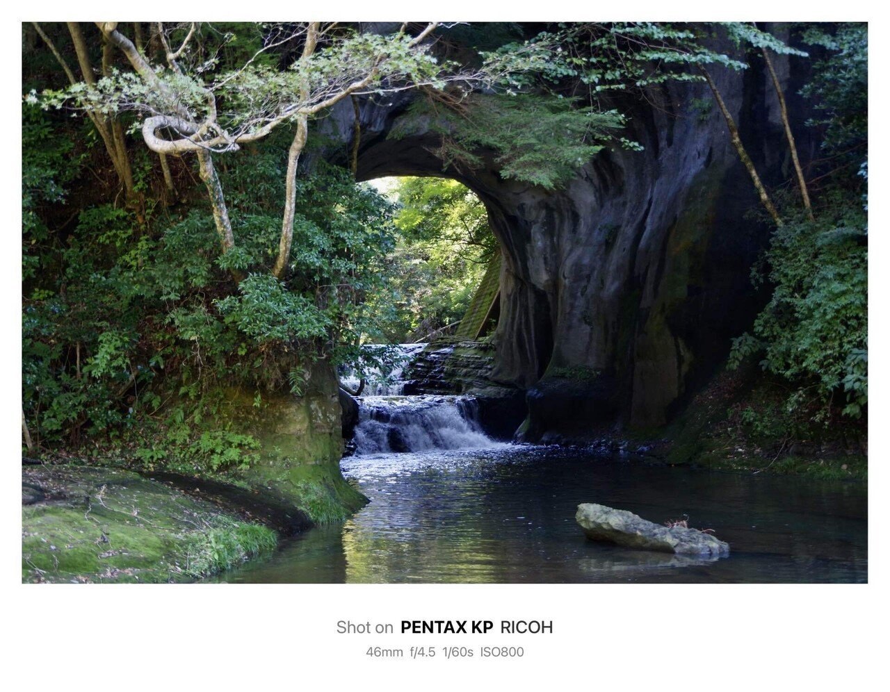 清水渓流広場 / Shimizu Mountain Stream Park(Chiba, Japan)｜N.Hagimoto