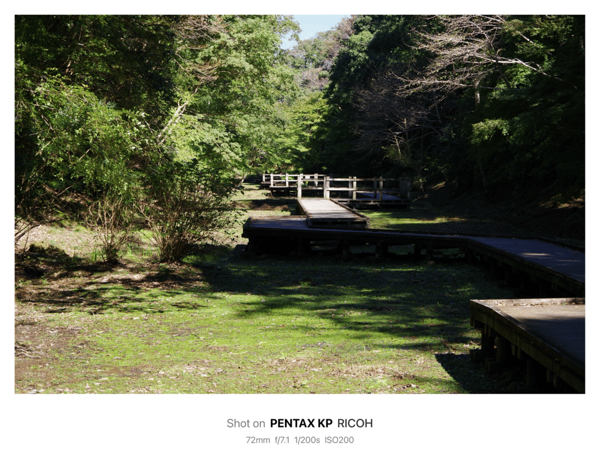 清水渓流広場 / Shimizu Mountain Stream Park(Chiba, Japan)｜N.Hagimoto