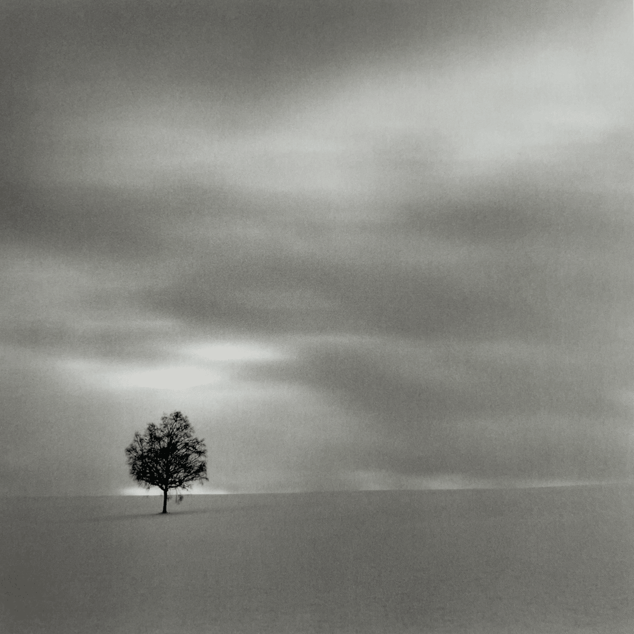 マイケル・ケンナ 旅の記憶展｜何必館・京都現代美術館｜芝田真一