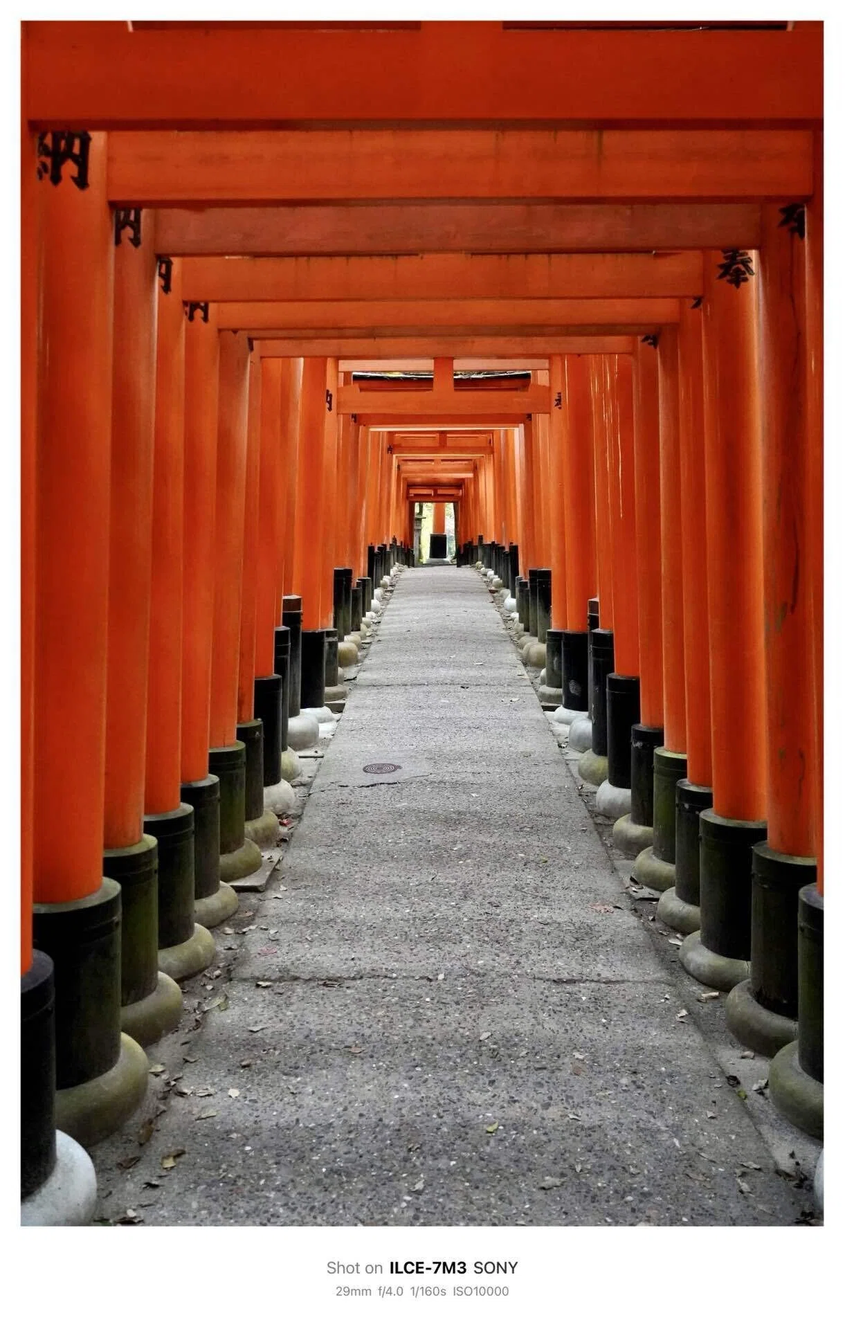 伏見稲荷大社 / Fushimi Inari Taisha【2021】(Kyoto, Japan)｜N.Hagimoto