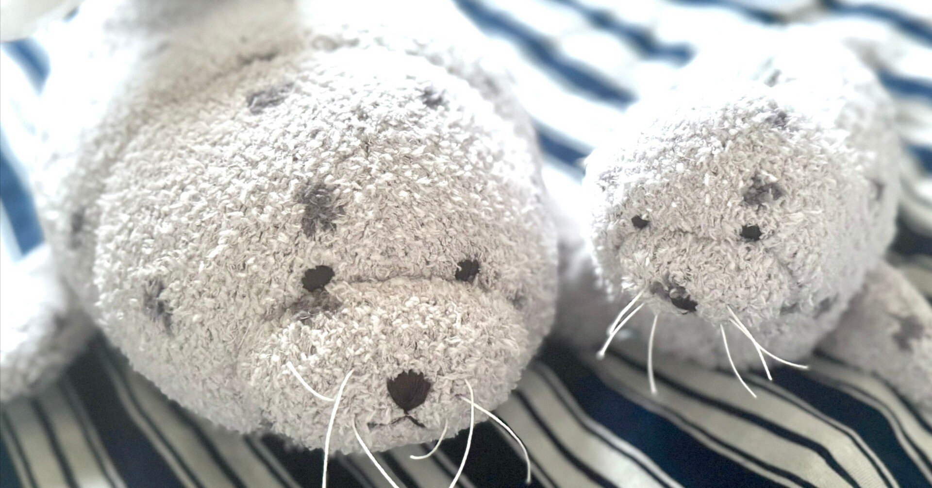 【完売商品】gelato pique AZARASHI 完売商品】gelato pique AZARASHI ジェラピケがアザラシ出した｜ヒロサキ