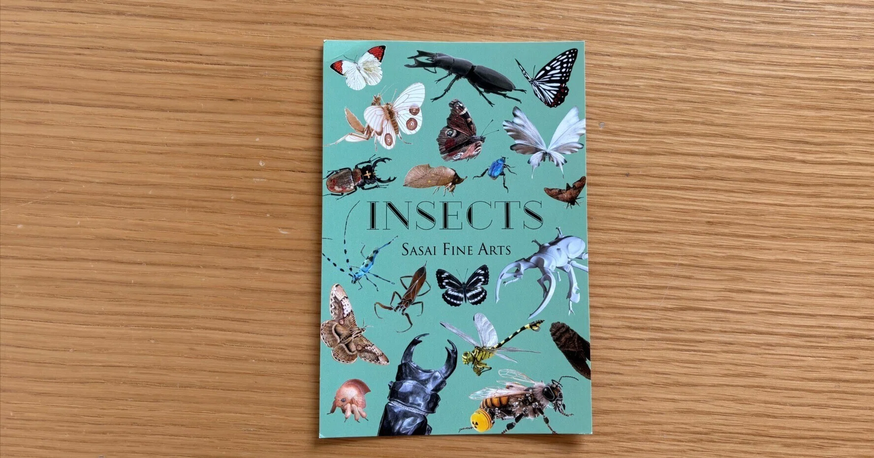 東京・銀座で見つけた愛しい虫たち。『INSECTS』（前編）【展覧会