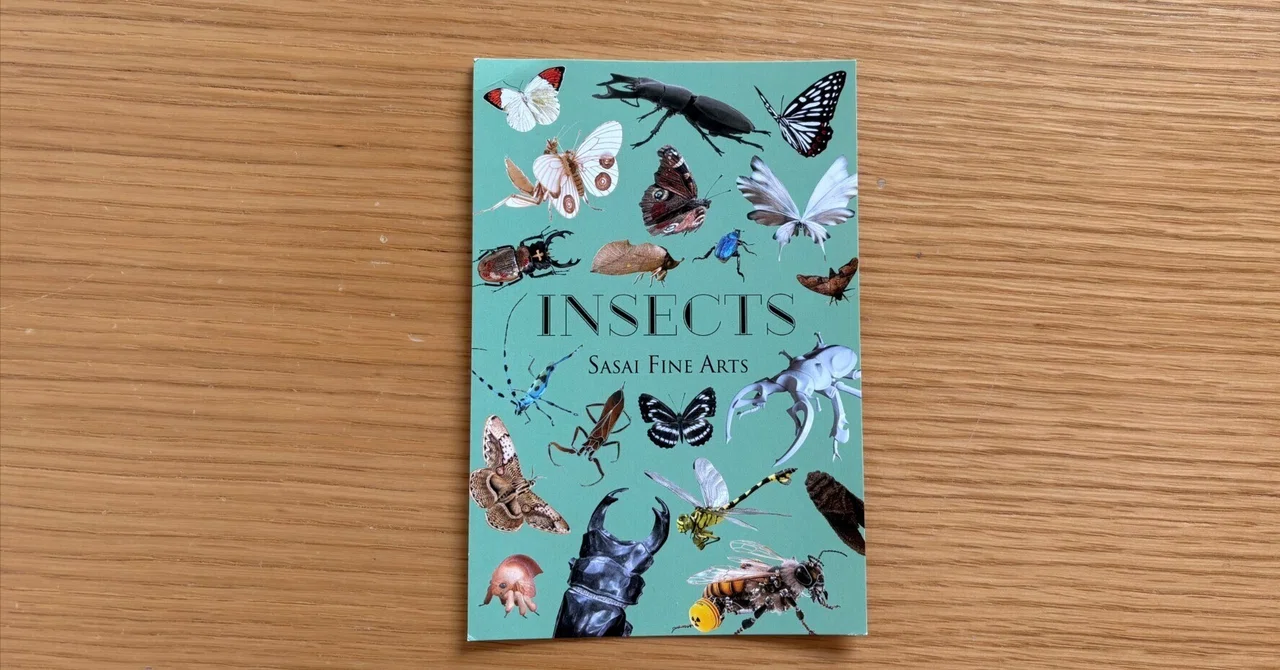 東京・銀座で見つけた愛しい虫たち。『INSECTS』（前編）【展覧会