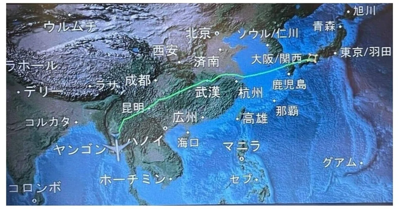 東南アジア ミャンマー （ビルマ）14〜15世紀 青磁盤口双耳瓶 東南アジア ミャンマー （ビルマ）14〜15世紀 青磁盤口双耳瓶 青磁双耳