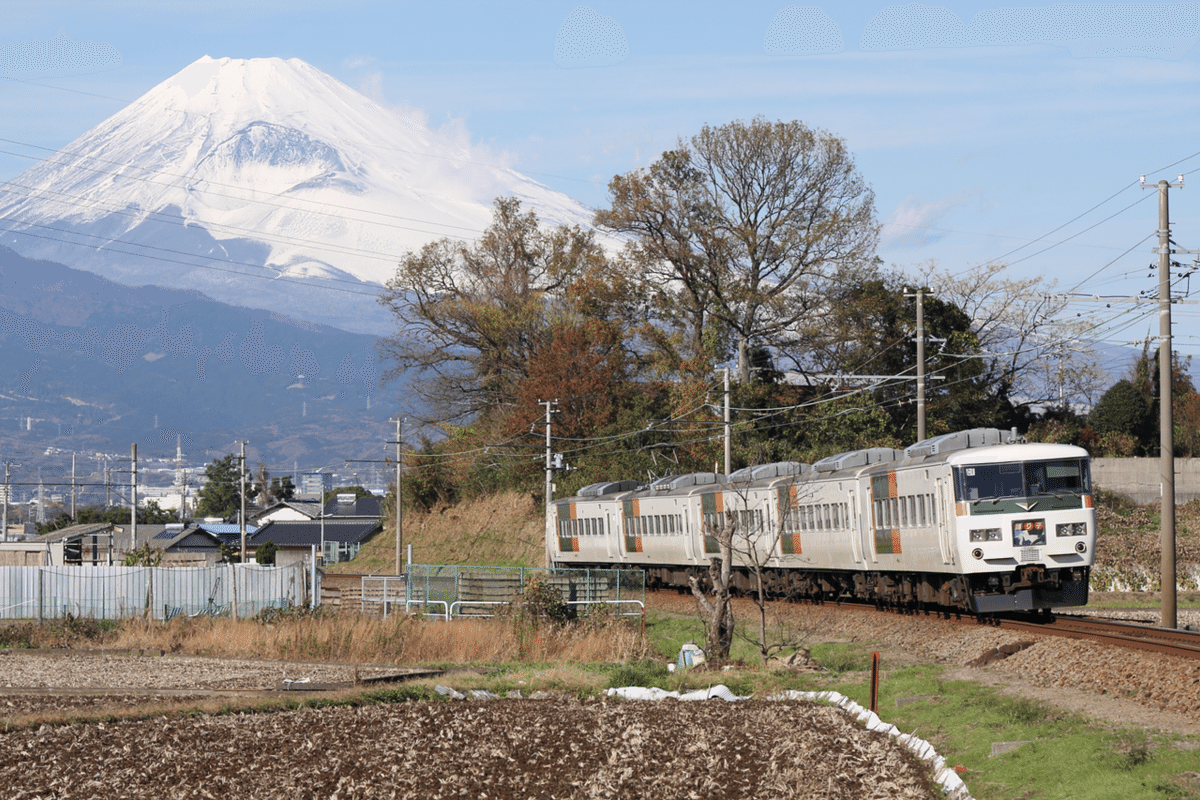 185系 快速「ムーンライトながら」の思い出｜おさかないわし