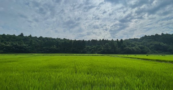 僕がジェイテクトに入った理由｜郡浩也