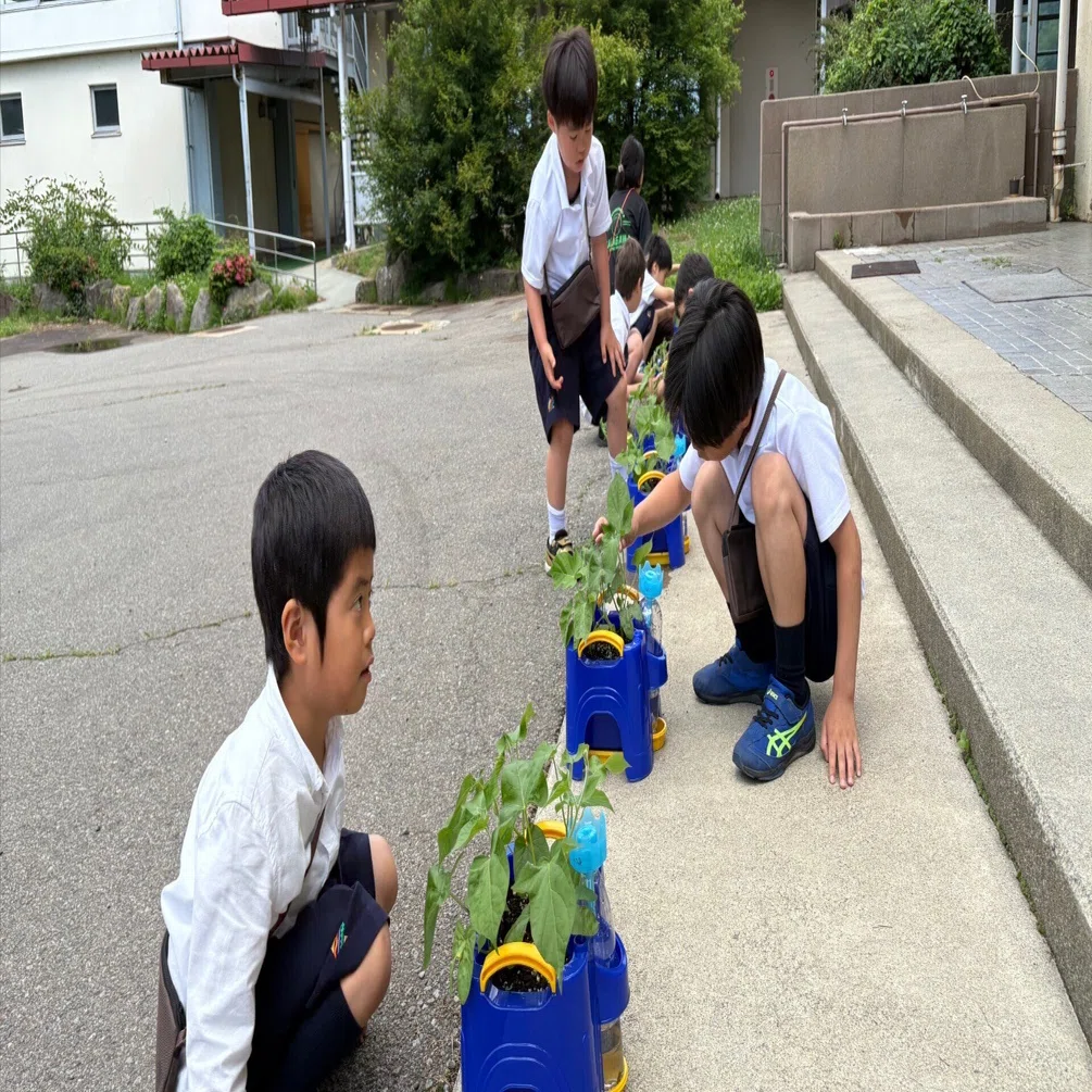 出生時間別・子供の育て方 占星学の鑑定実例講義〈2〉 潮島 郁幸 アサガオの観察について考える｜さやか星小学校