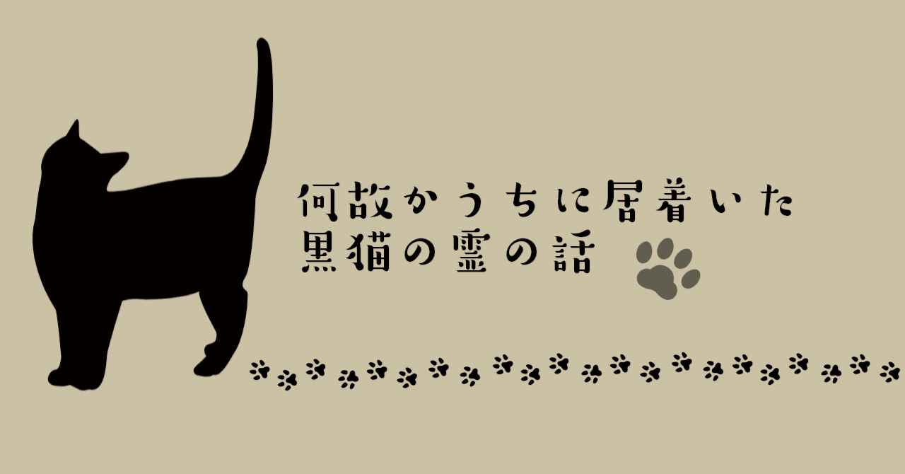 猫千代　0508 猫千代 0508 猫千代 0508 ゼクスZ／X】キラ仕様)神憑る猫の