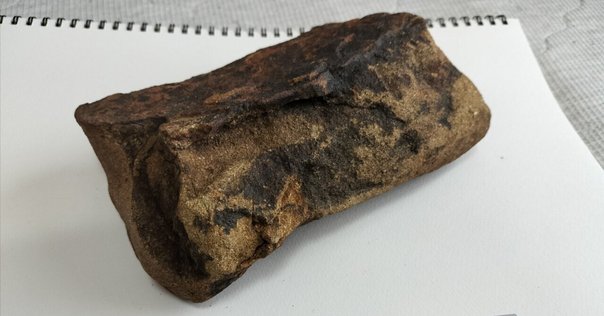 鈴石、鳴石 奇石博物館 収蔵品 鈴石（鳴石）