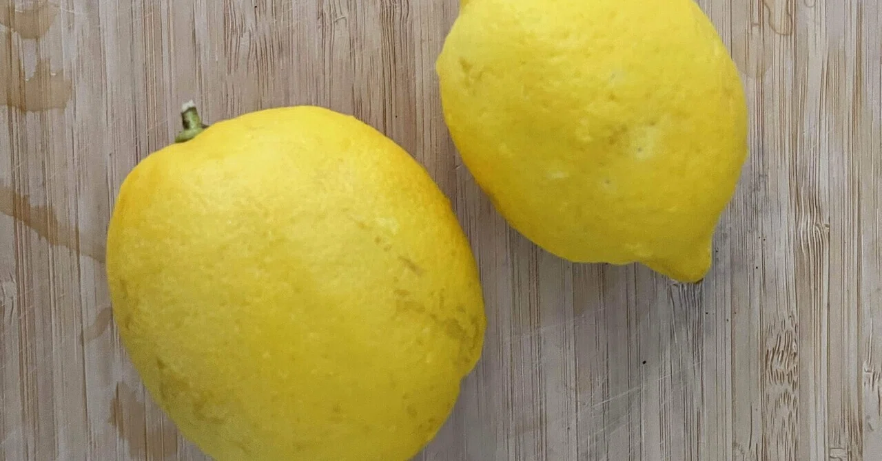🍋レモンガイ🍋、人生初のすっぱい体験！｜SENRI OE 大江千里