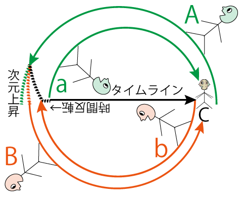 時間反転円環