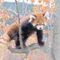れっさ|エンジニアのひとりごと