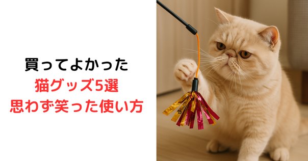 インテリアとしてもインパクト抜群！三日月型のかわいすぎる猫