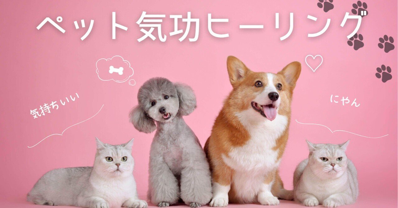 アニマルセラピー：心に寄り添う、動物たちの奇跡の物語｜√11
